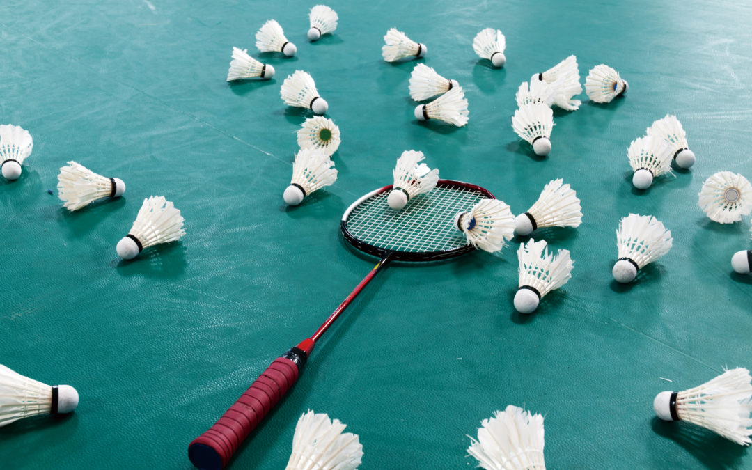 Experience Badminton